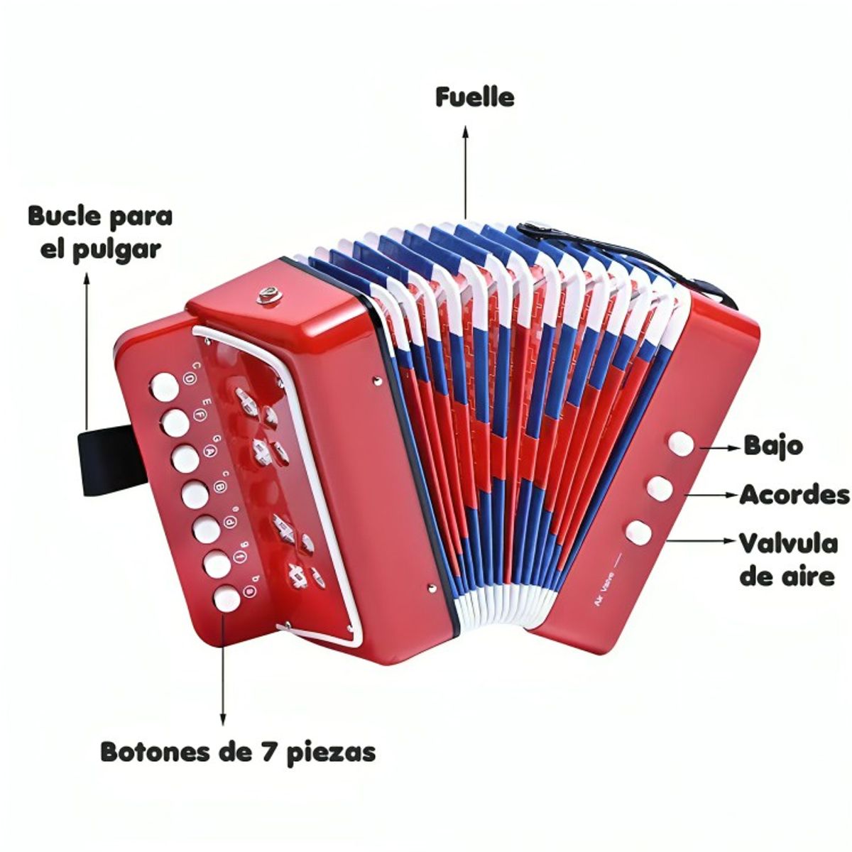 GENERICO - Juguete Mini Acordeón Para Niños 7 Notas