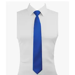 XPRESS RECHARGE - Pack 12 Corbatas Lisas por Mayor Elegancia Clásica para toda ocasion