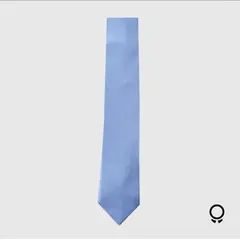 XPRESS RECHARGE - Pack x12 Corbatas Juveniles Slim Lisas por Mayor Elegancia Moderna