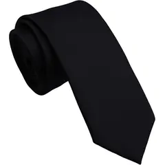 XPRESS RECHARGE - Pack x12 Corbatas Juveniles Slim Lisas por Mayor Elegancia Moderna