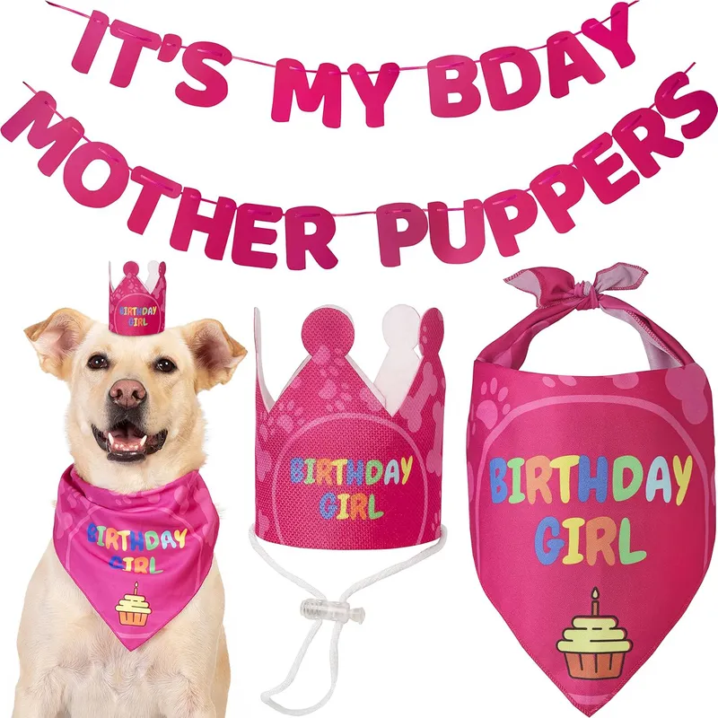 WELDMON - Pack Decoración Cumpleaños para perros azul-S