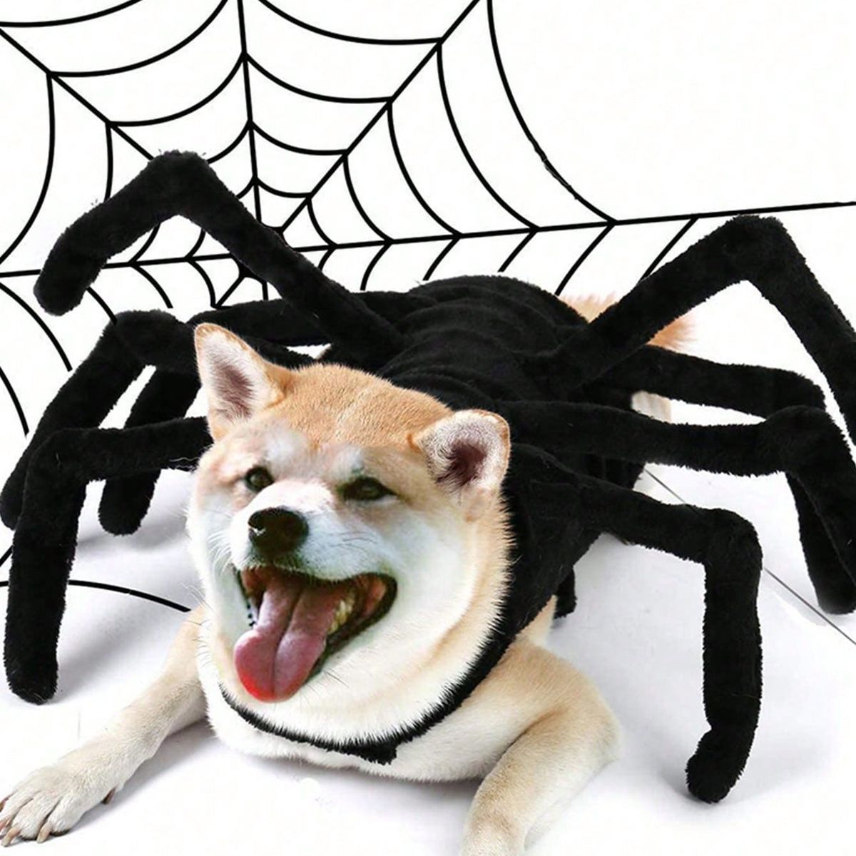 VATYERTY - Disfraz de Perro - Araña Gigante S