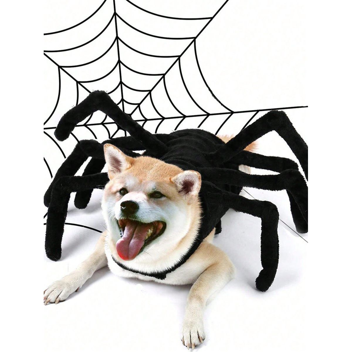 VATYERTY - Disfraz de Perro - Araña Gigante S