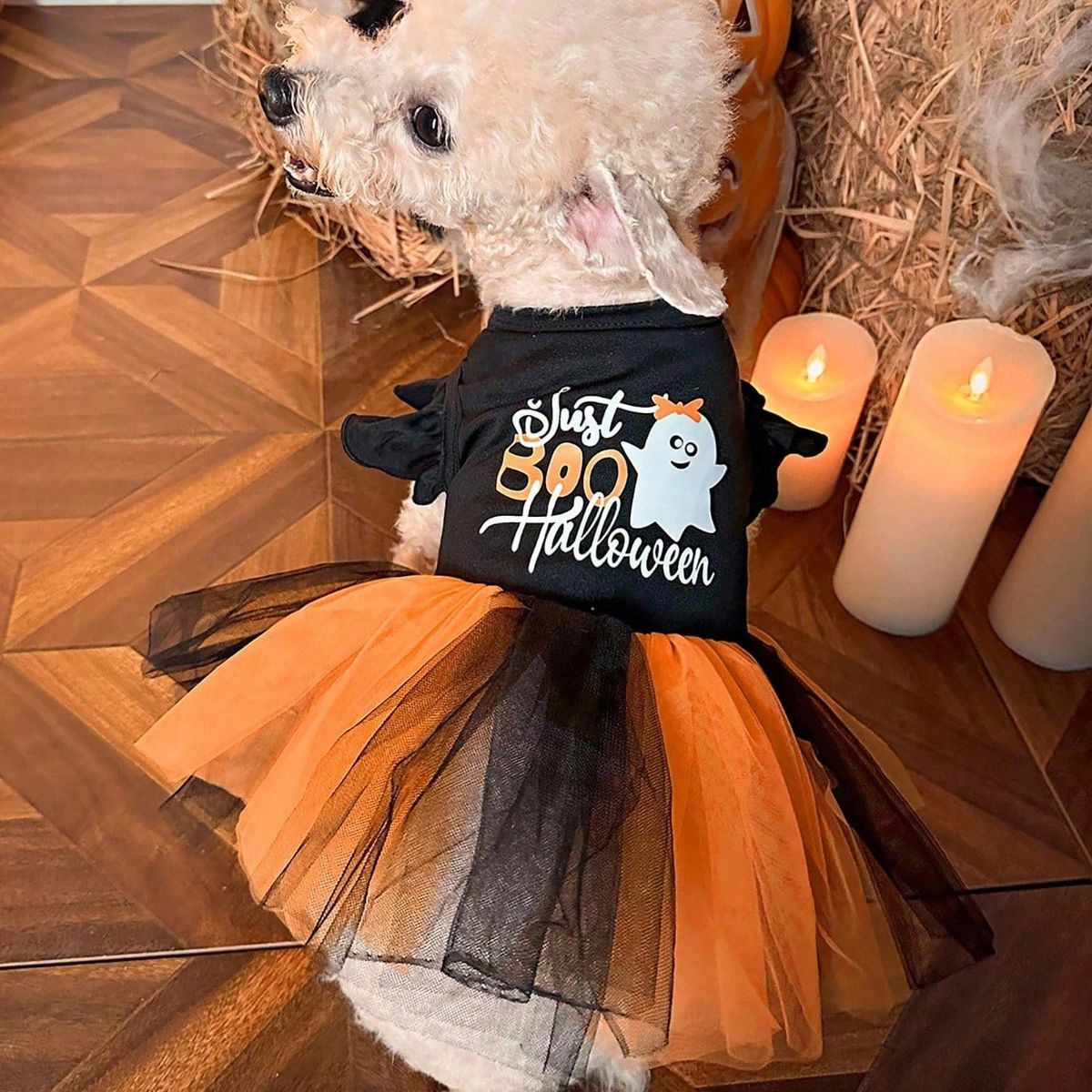 VATYERTY - Disfraz de Perro - Vestido con Tutú Negro y Naranjo L