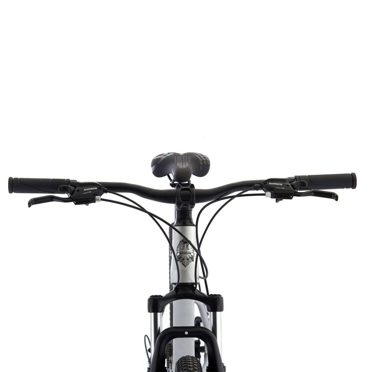 BIANCHI - BICICLETA BIANCHI STONE MOUNTAIN 29 SX ALLOY PLA SEMI MATTE