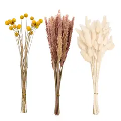 GENERICO - Flores Secas Naturales Boho Set 3 Ramos