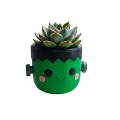 GENERICO - Macetero - Diseño Dragón.