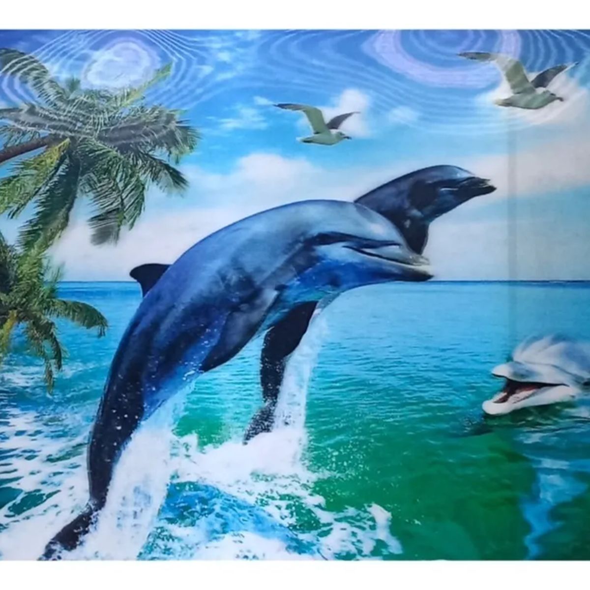 GENERICO - Pack 6 individuales impermeables 35x50cm 3d