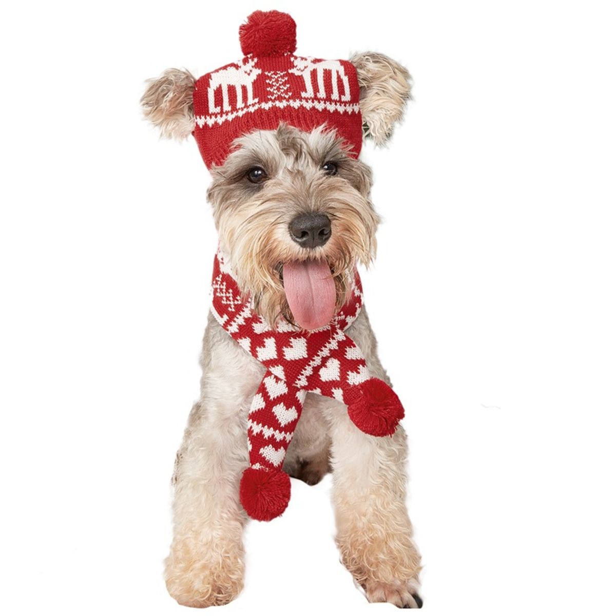 VATYERTY - Disfraz de Perro Navidad - Gorro y Bufanda de Lana Rojo XL