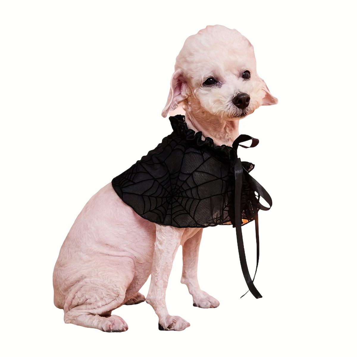 VATYERTY - Disfraz para Perro - Tocado negro de telaraña con encaje XL