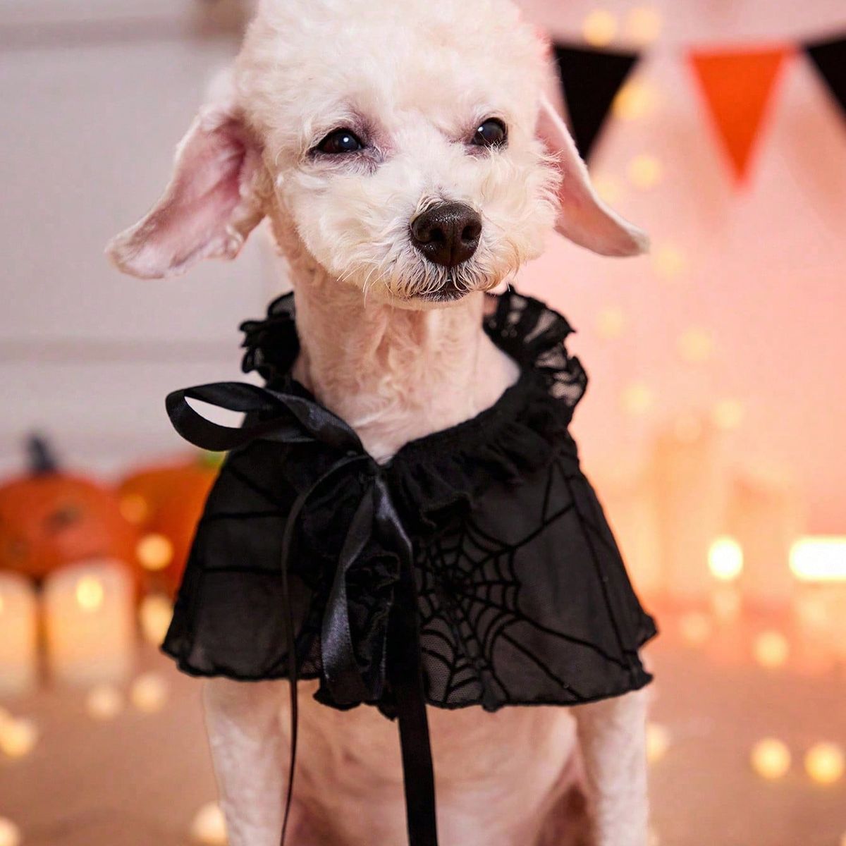 VATYERTY - Disfraz para Perro - Tocado negro de telaraña con encaje XL