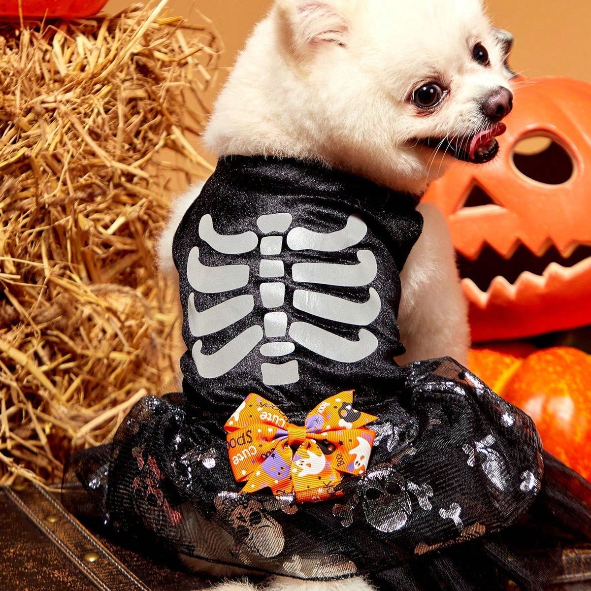 VATYERTY - Disfraz de Perro - Vestido de esqueleto con Tutú Negro M