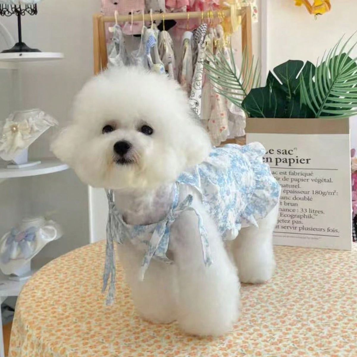 VATYERTY - Vestido de Perro - Diseño Flores Celeste S
