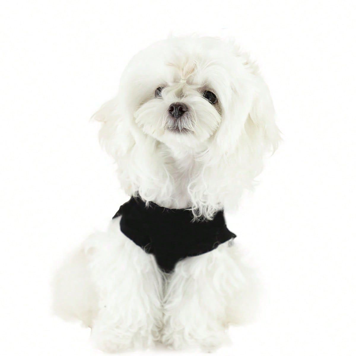 VATYERTY - Chaleco de Perro Negro I Love Mama 2XL