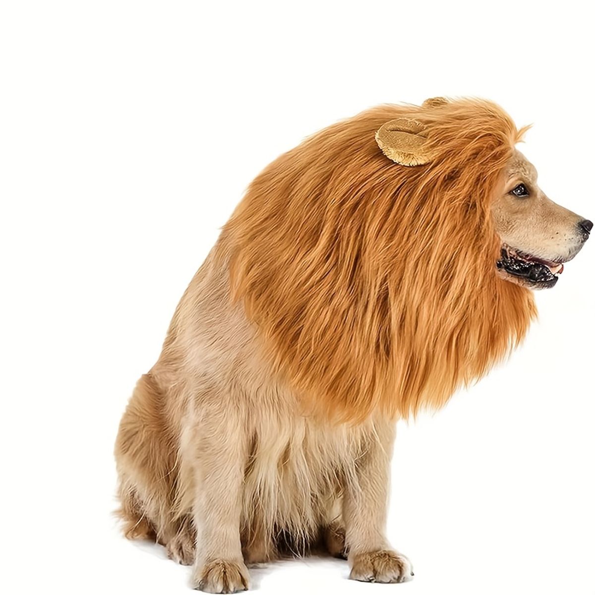 VATYERTY - Disfraz de Perro - Melena de león con orejas S