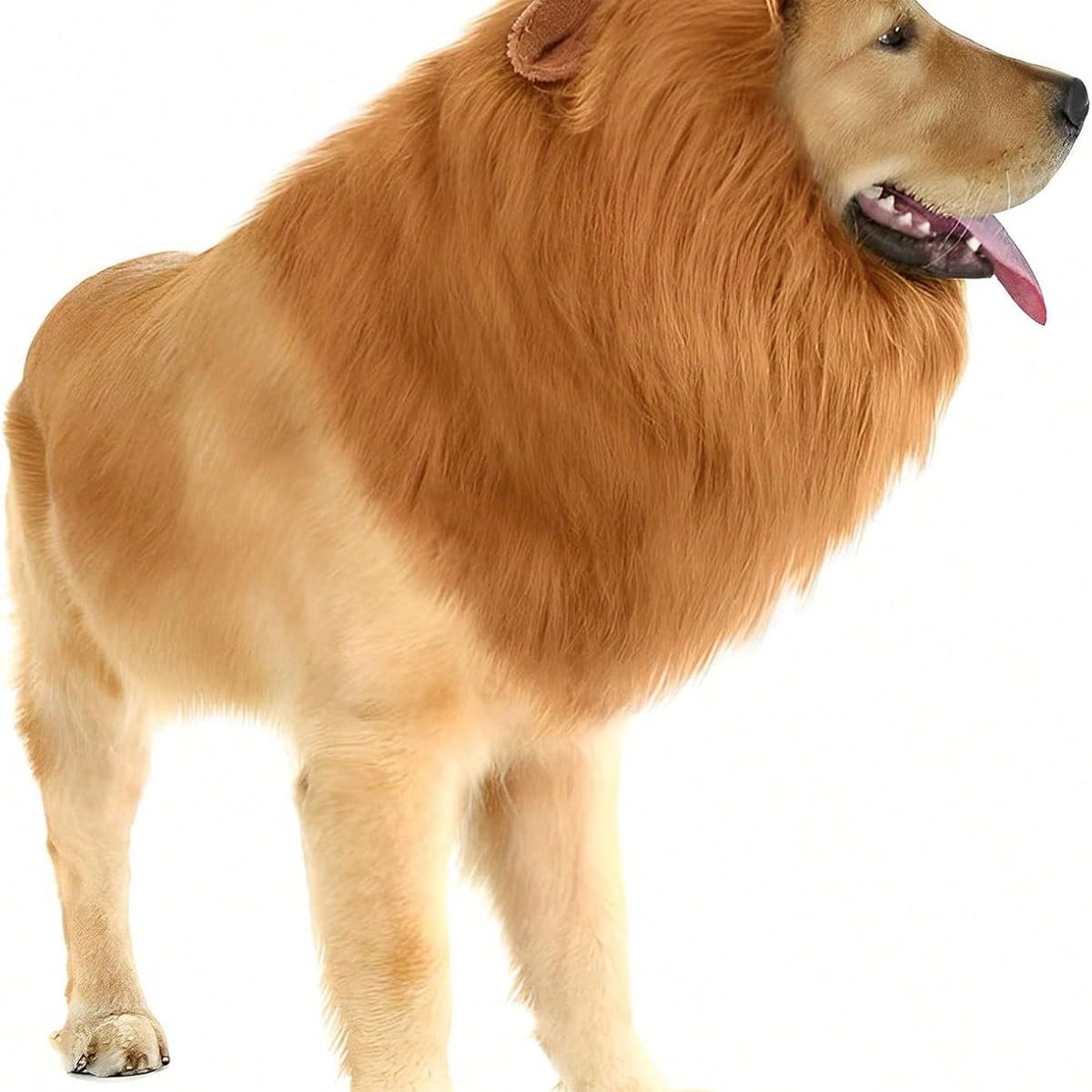 VATYERTY - Disfraz de Perro - Melena de león con orejas XL