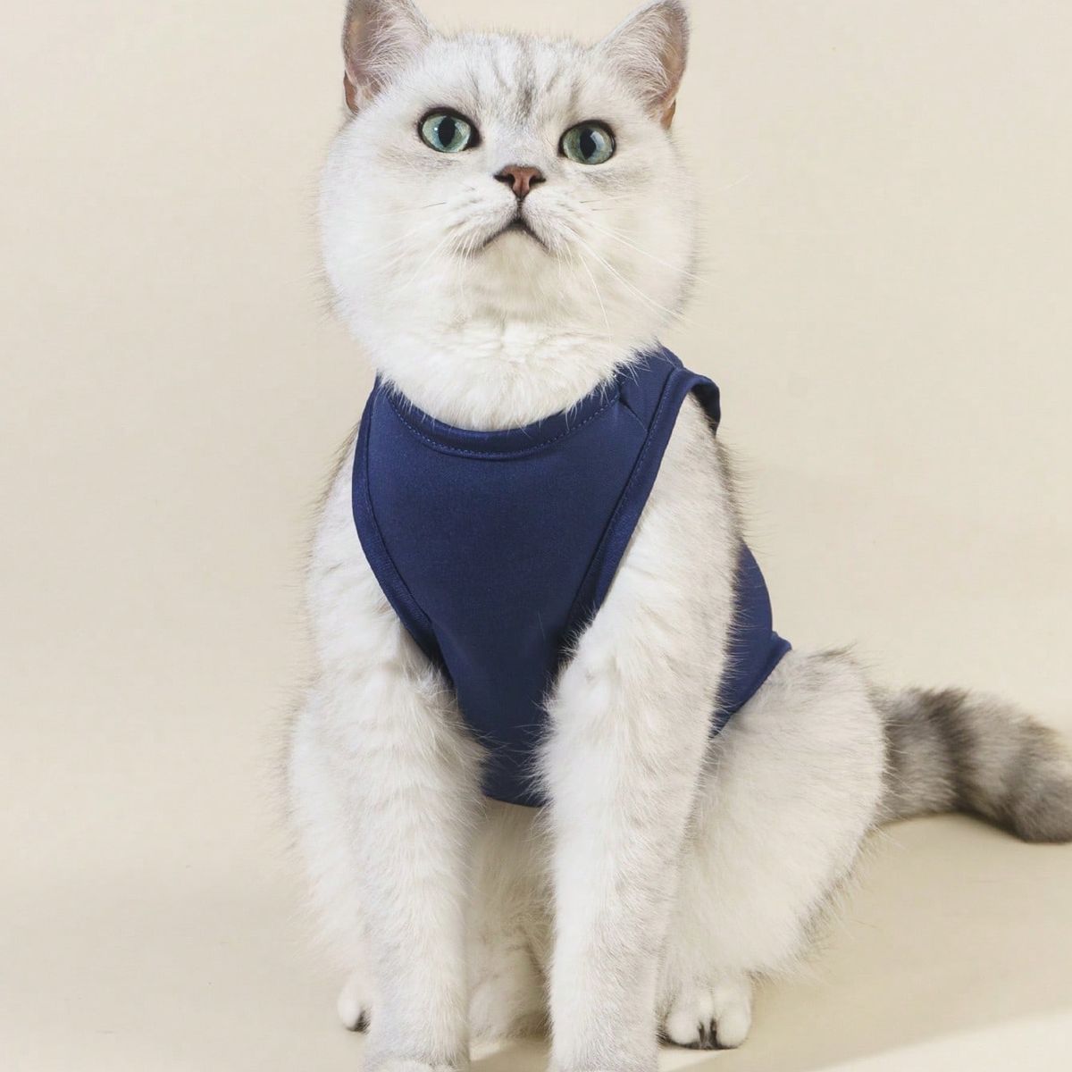 VATYERTY - Chaleco para perro - Estampado - Azul M