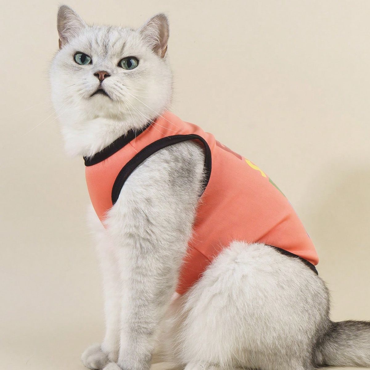 VATYERTY - Chaleco para perro - Estampado - Naranjo S