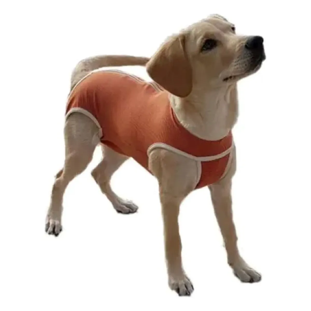 KIMBA - Body Cobre Original Para Perros Y Gatos De 45 Kg A 50 Kg
