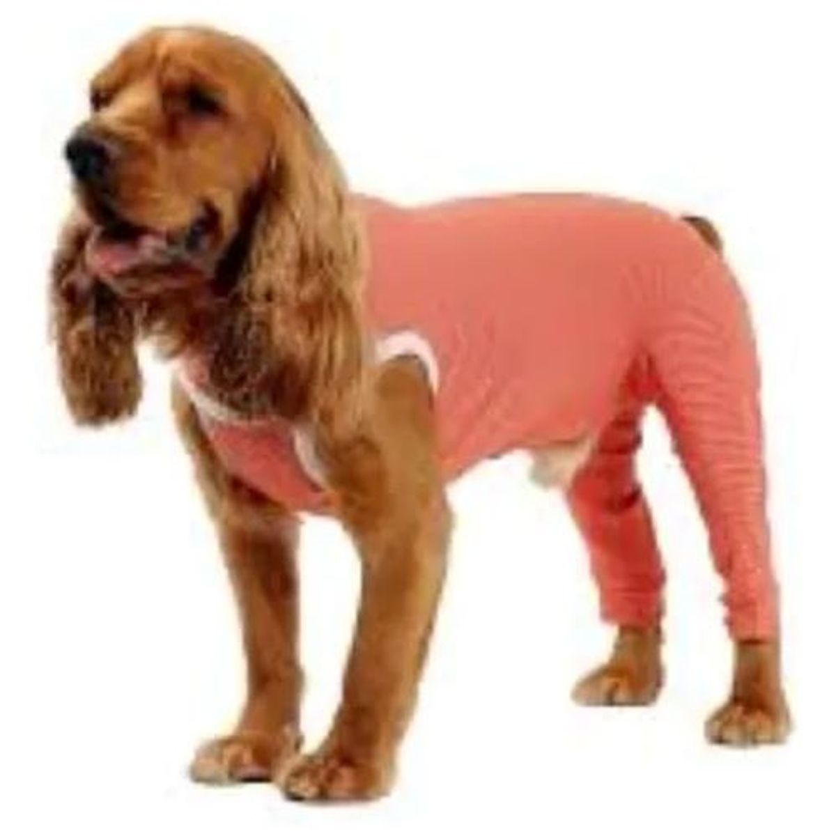 KIMBA - Body Cobre Kimba Posterior Post-operatorio T3 (4.5 A 6 Kg)