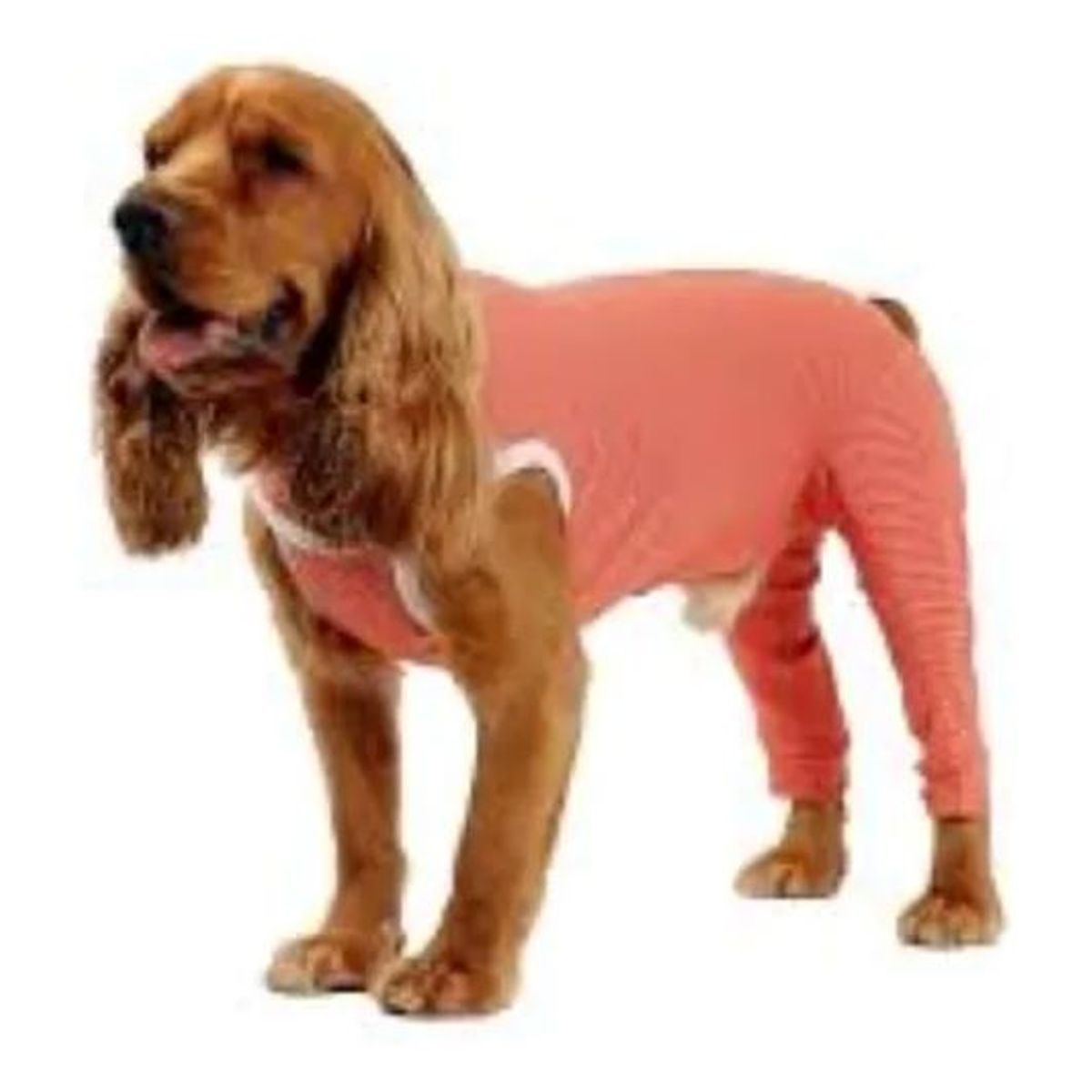 KIMBA - Body Cobre Kimba Posterior Post-operatorio T3 (4.5 A 6 Kg)