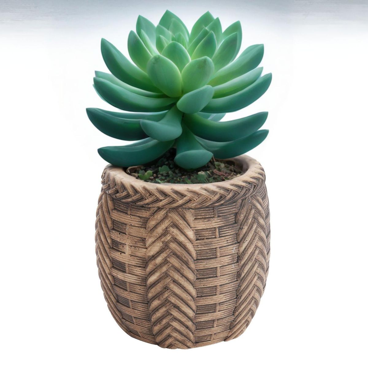 HOME ESSENTIALS - Maceta trenzada de cemento café 13 cm