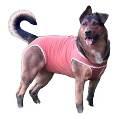 KIMBA - Body Cobre Original Para Perros Y Gatos De 50 Kg A 55 Kg