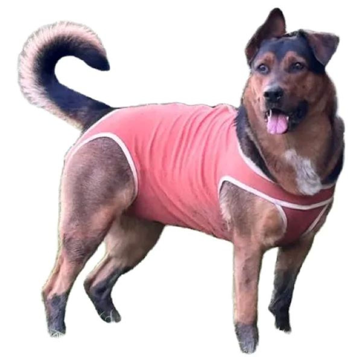 KIMBA - Body Cobre Original Para Perros Y Gatos De 21 Kg A 25 Kg