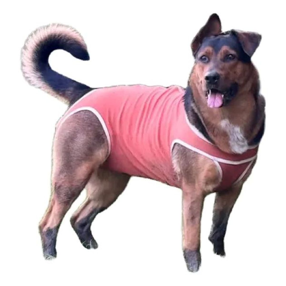 KIMBA - Body Cobre Original Para Perros Y Gatos De 40 Kg A 45 Kg