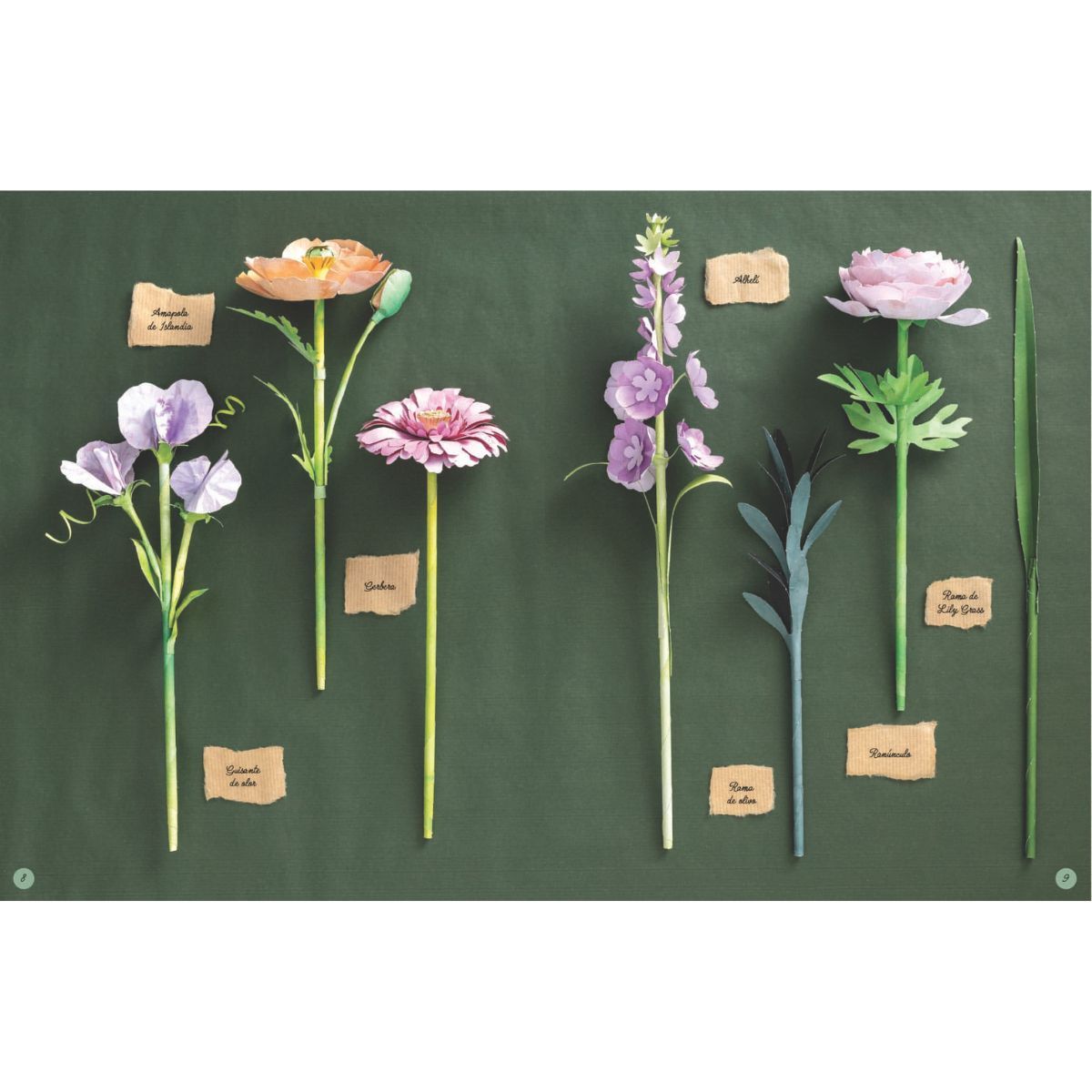 EDITORIAL CONTRAPUNTO - Flores de papel