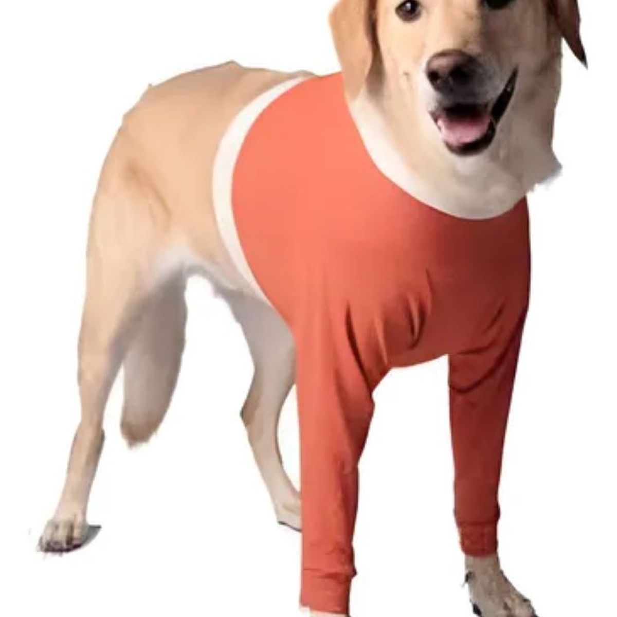 KIMBA - Polerón Cobre Protector Miembros Anteriores - Talla 4