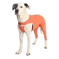 KIMBA - Body Cobre Posterior Post-operatorio T7 (13 A 17 Kg)