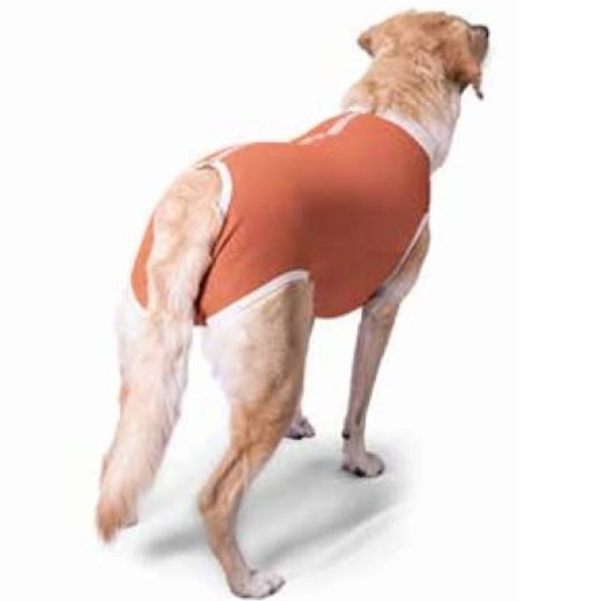 KIMBA - Body Cobre Kimba Castración  Talla 4 (6 A 7.5 kg)