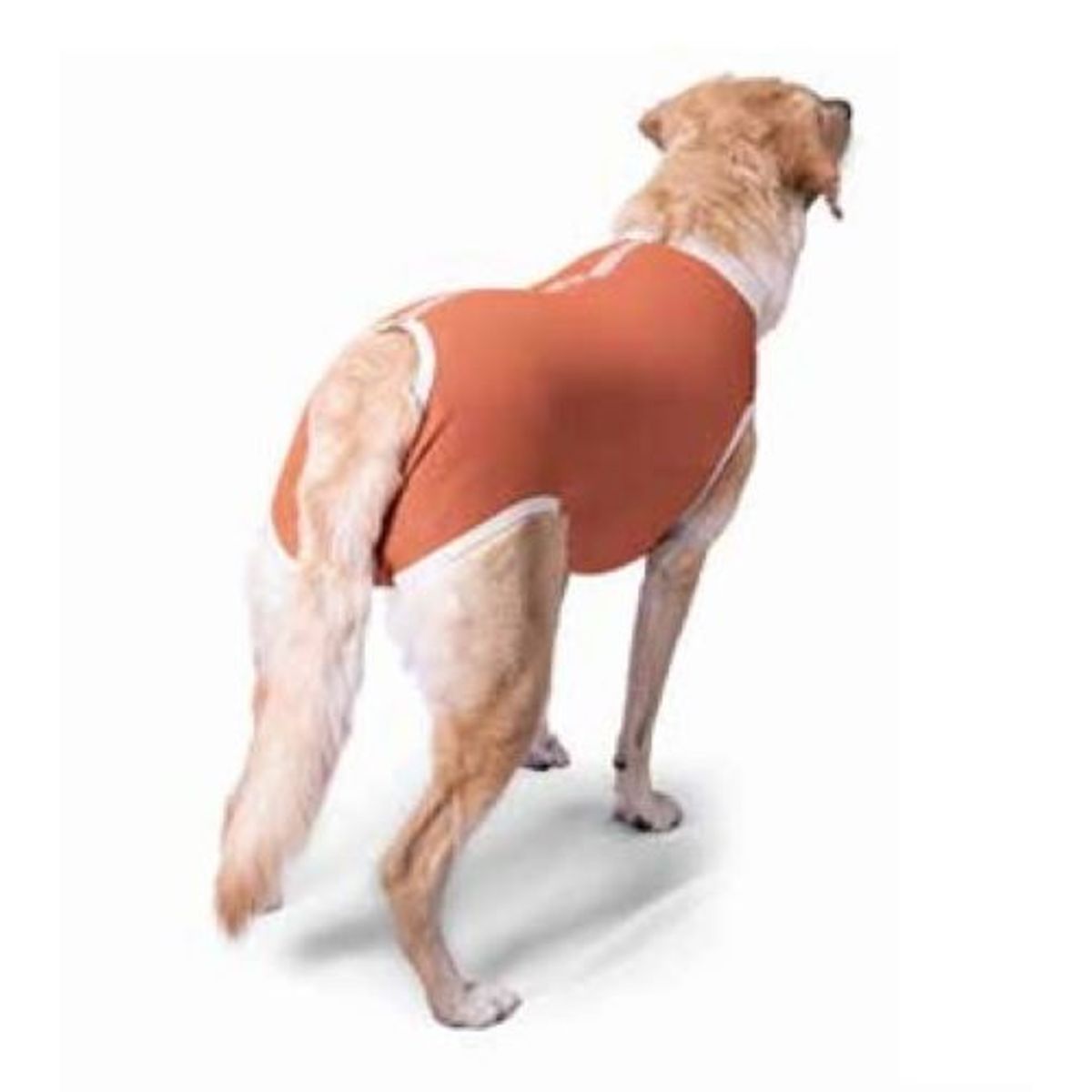 KIMBA - Body Cobre Kimba Castración  Talla 4 (6 A 7.5 kg)