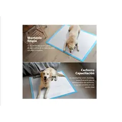 VISUALHEX LIMITADA - Pañales Tipo Sabanillas Para Mascotas 24unidades 45x60cmm