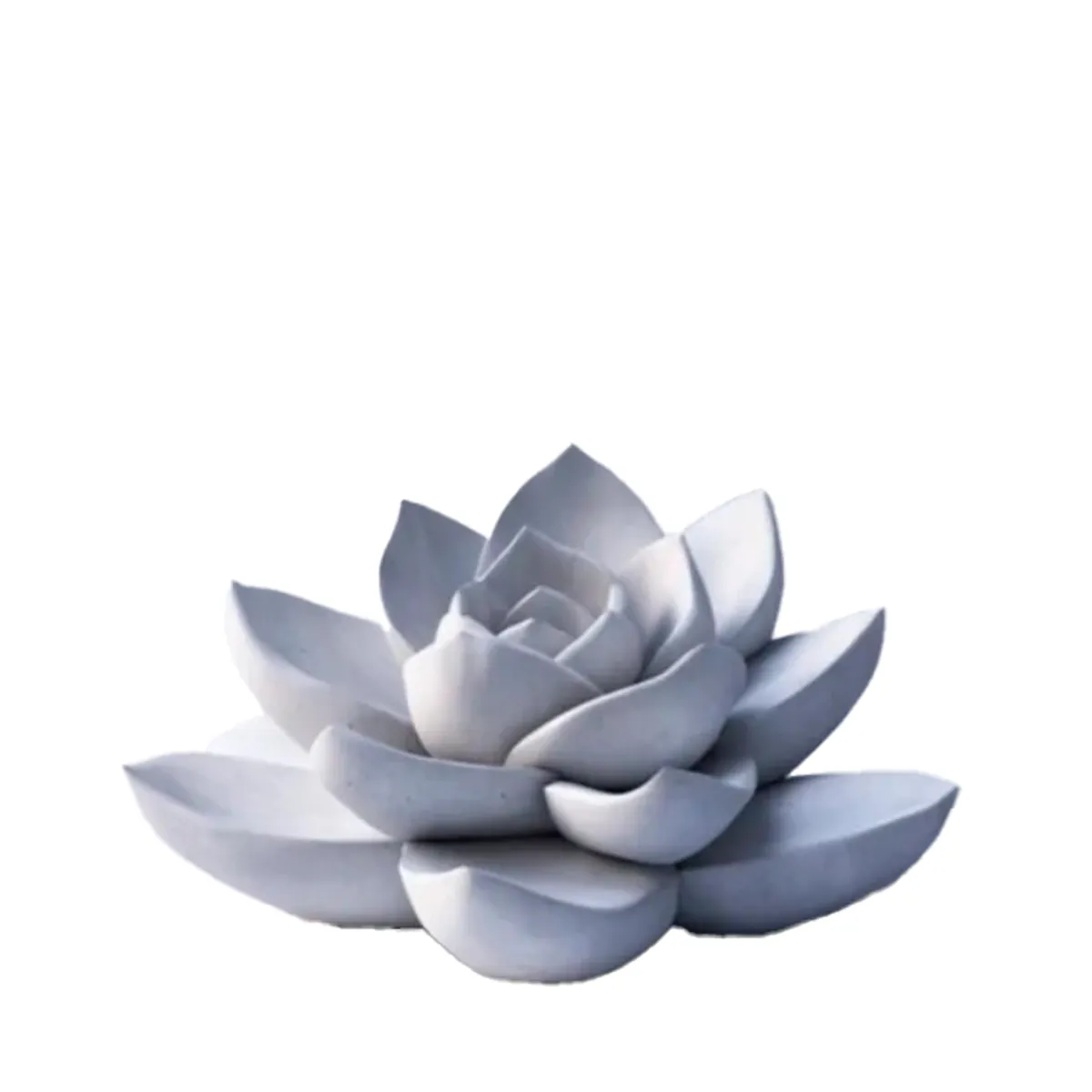 GENERICO - Decoración - Planta Suculenta