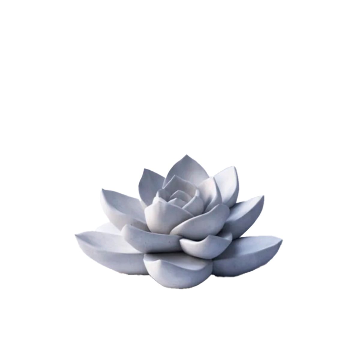 GENERICO - Decoración - Planta Suculenta