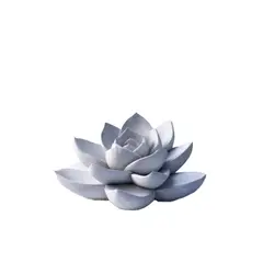 GENERICO - Decoración - Planta Suculenta