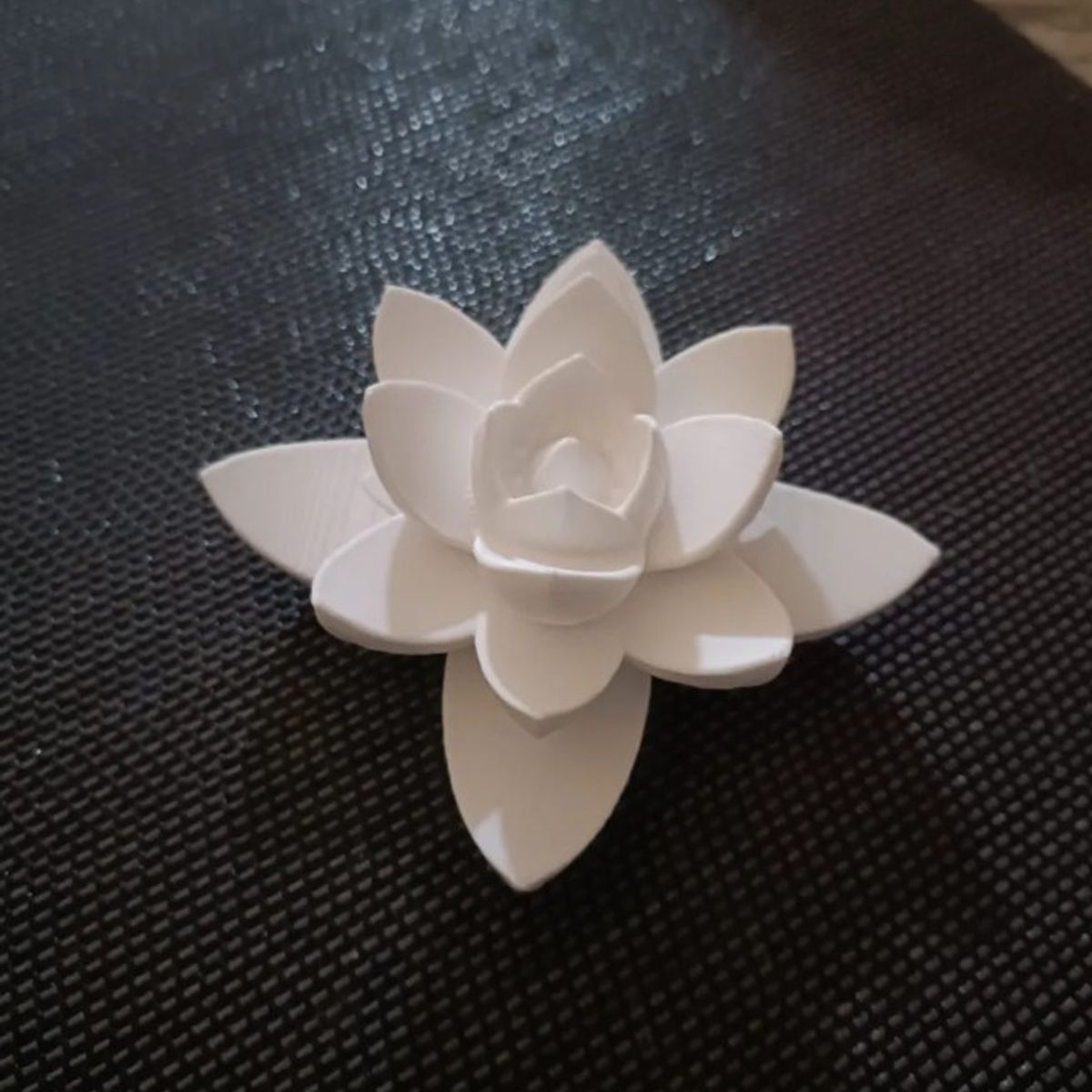 GENERICO - Decoración - Planta Suculenta