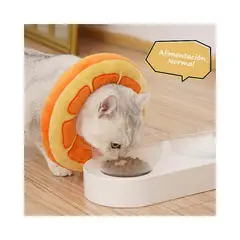 WELDMON - Collar de Recuperación para Gatos Ajustable（L）