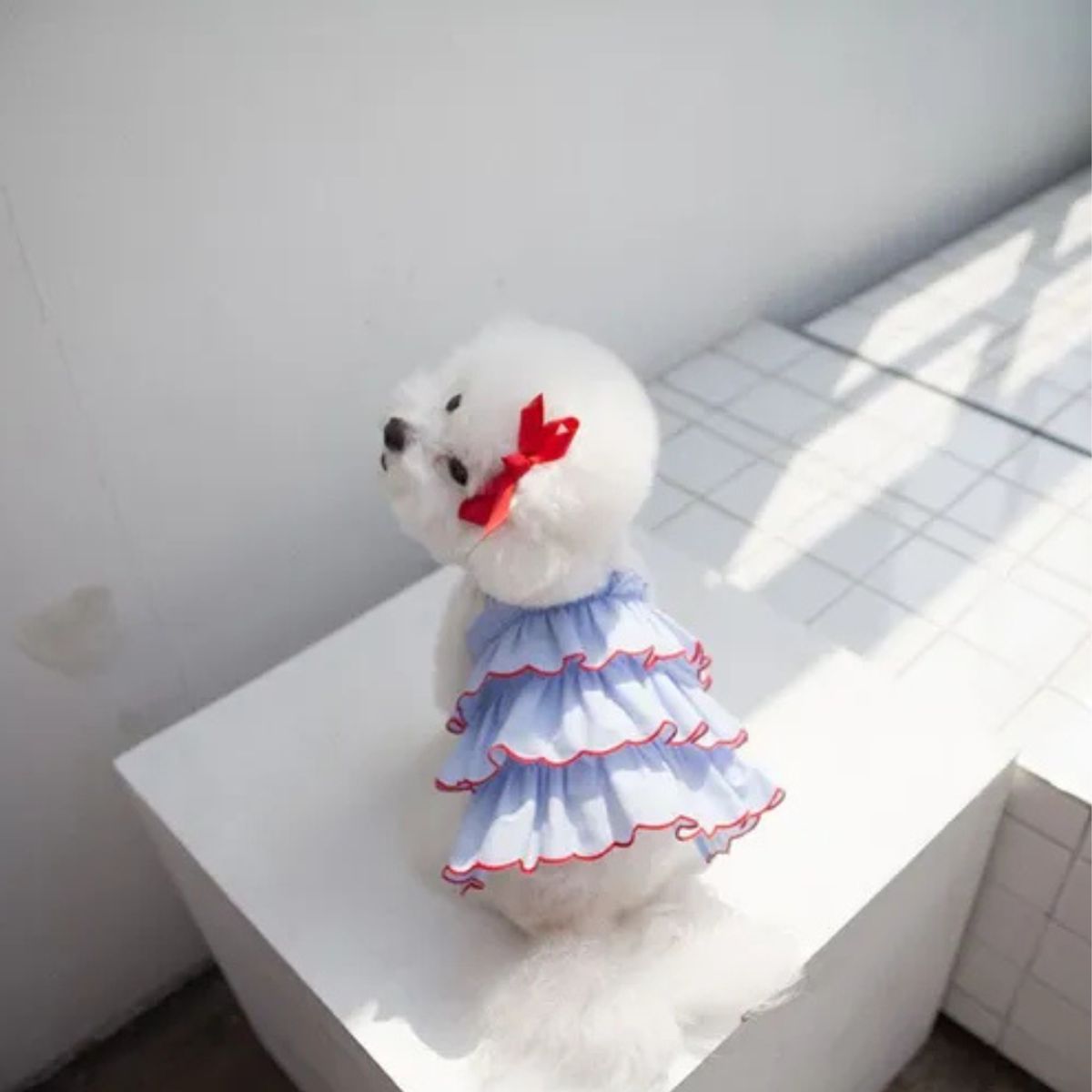 GENERICO - Vestido Ropa Elegante De Verano Para Mascotas XL