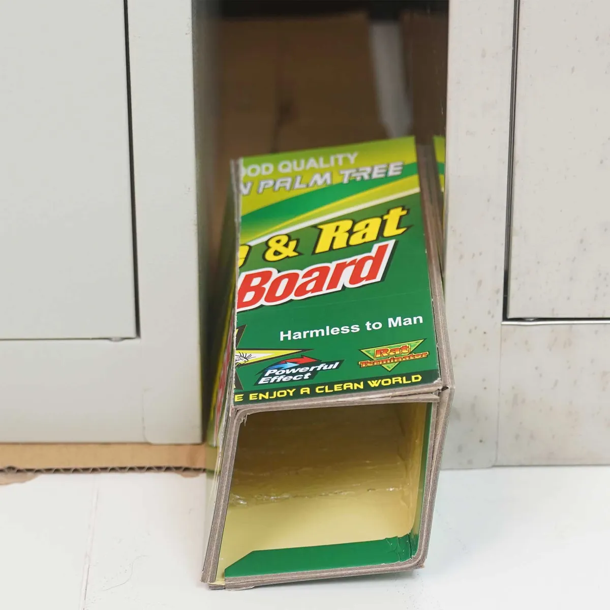 GENERICO - Trampa Ratones Pegajosa Control de plagas Desratización Pack 6