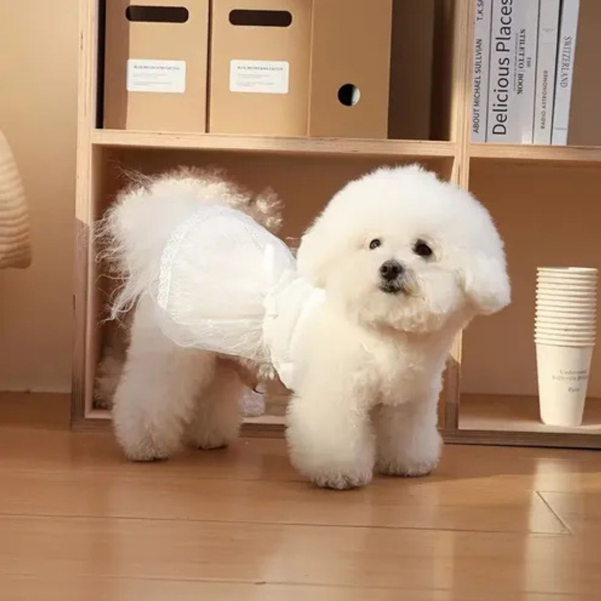 GENERICO - Ropa de Vestido Para Mascota Encaje Blanco M