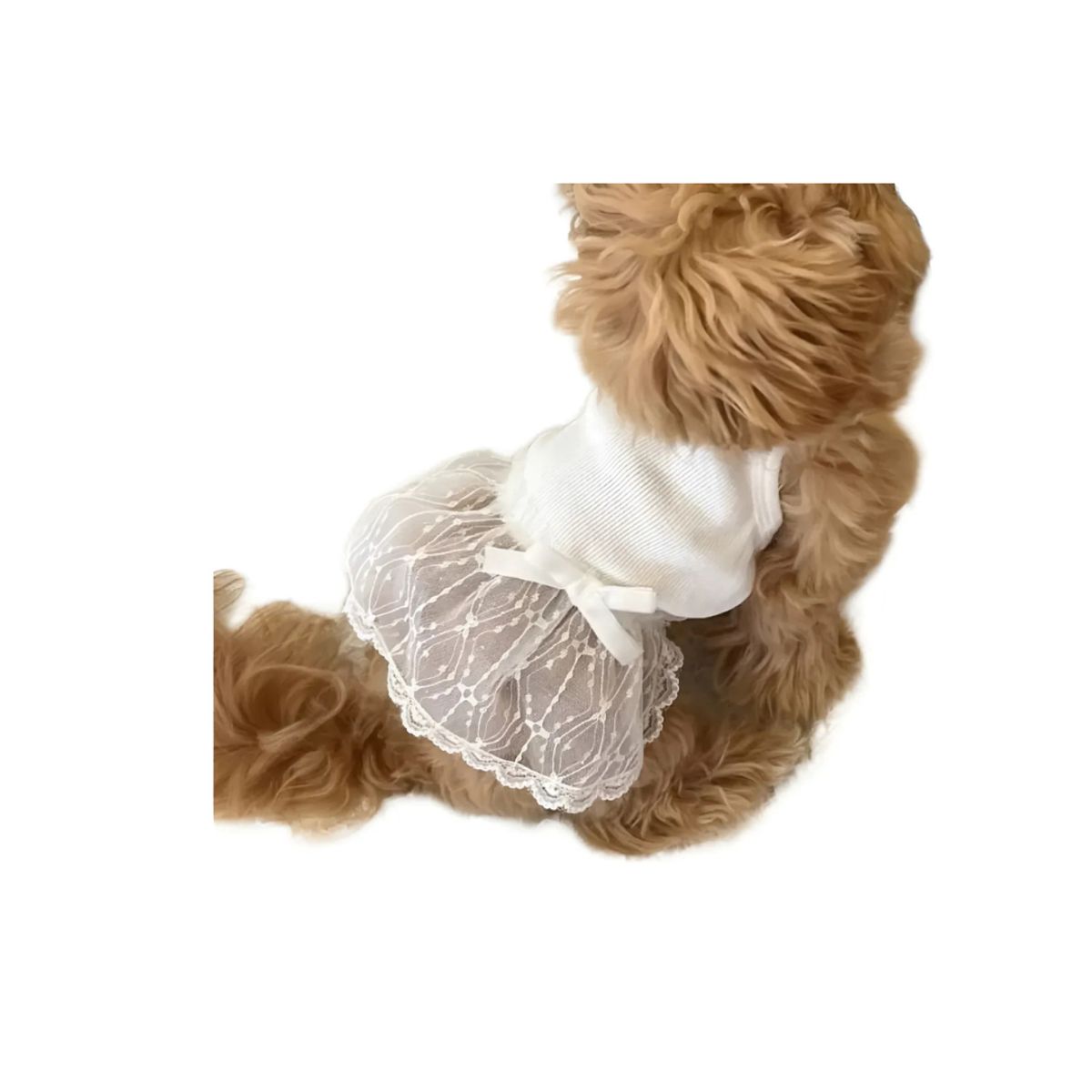 GENERICO - Ropa de Vestido Para Mascota Encaje Blanco L