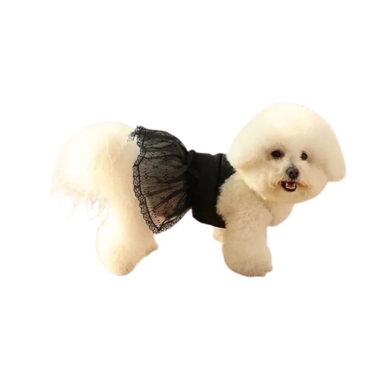 GENERICO - Ropa de Vestido Para Mascota Encaje Negro S