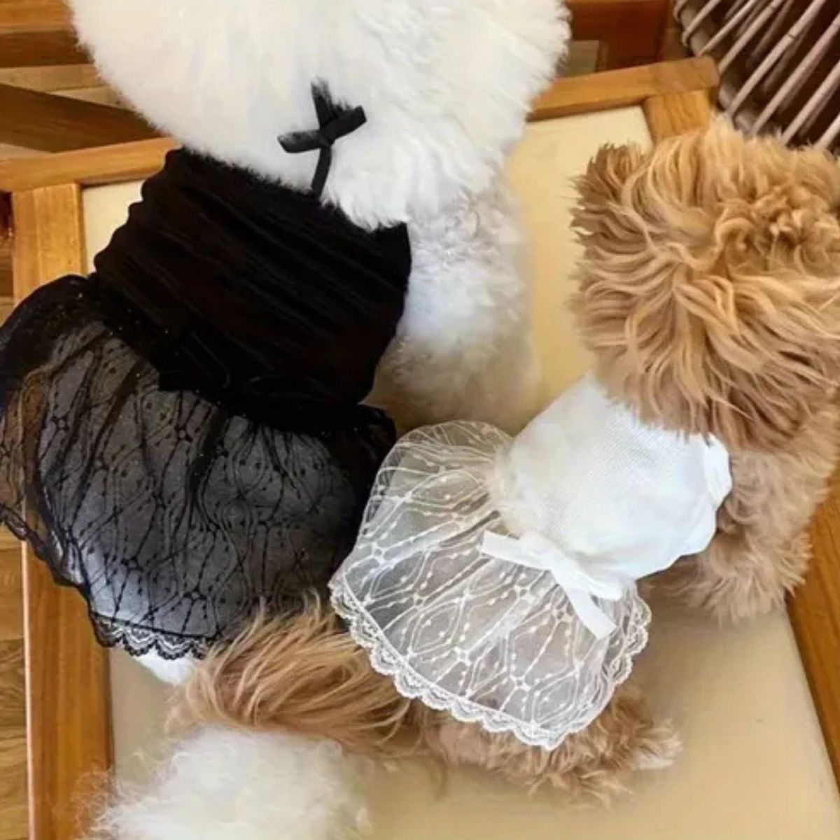 GENERICO - Ropa de Vestido Para Mascota Encaje Negro M