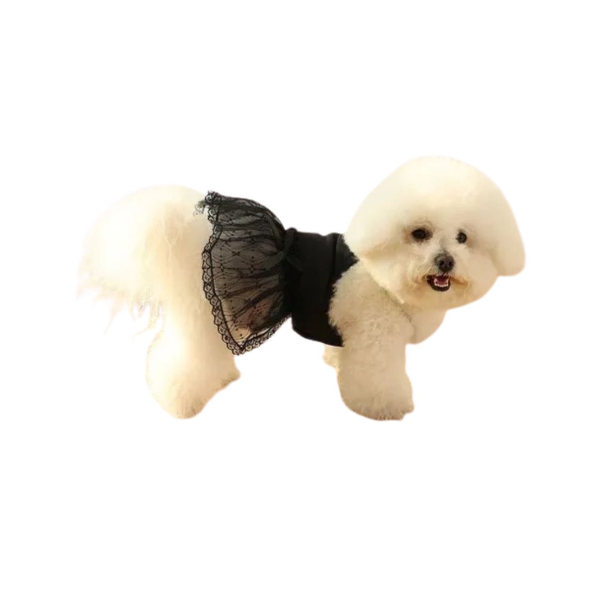 GENERICO - Ropa de Vestido Para Mascota Encaje Negro L