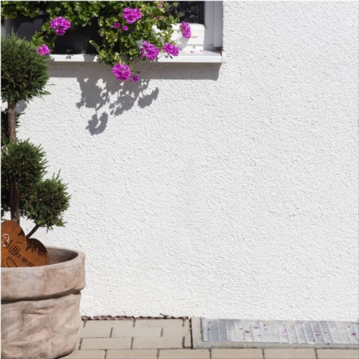 SHERWIN WILLIAMS - Bloqueador de humedad blanco invierno 1 gal