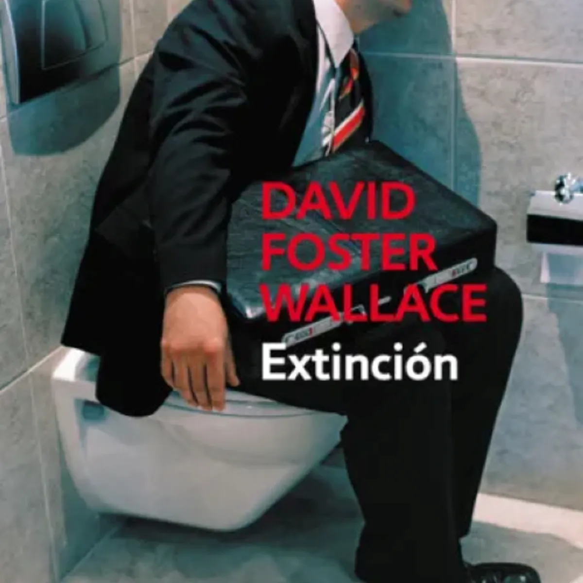 DEBOLSILLO - EXTINCION