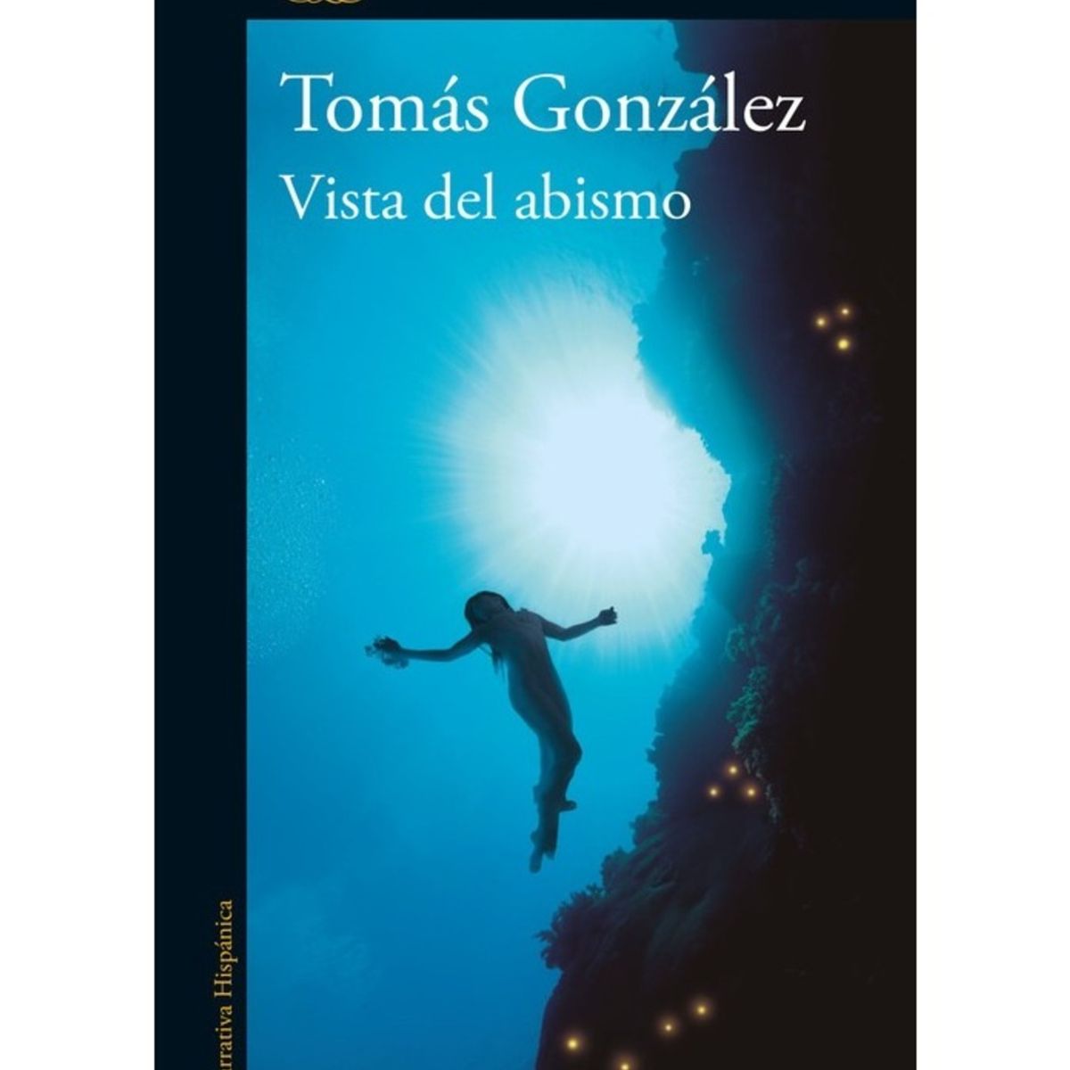 TOP10BOOKS - LIBRO Vista Del Abismo - Vista Del Abismo